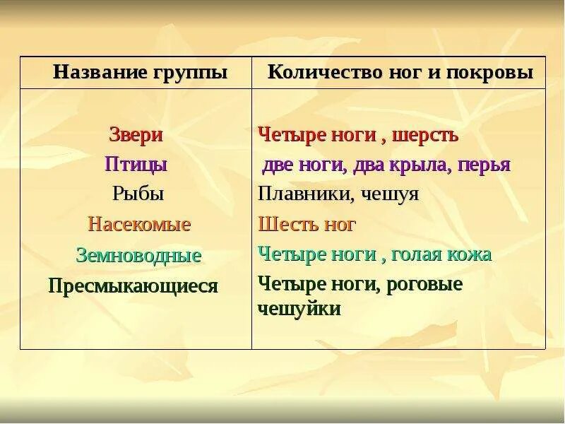 Названия групп животных. Названия групп животных