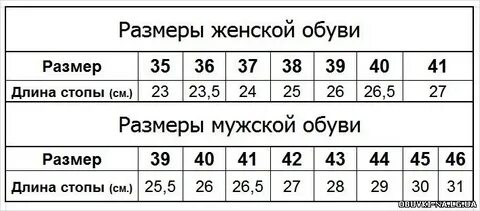 Длина стельки 36 размера женской обуви