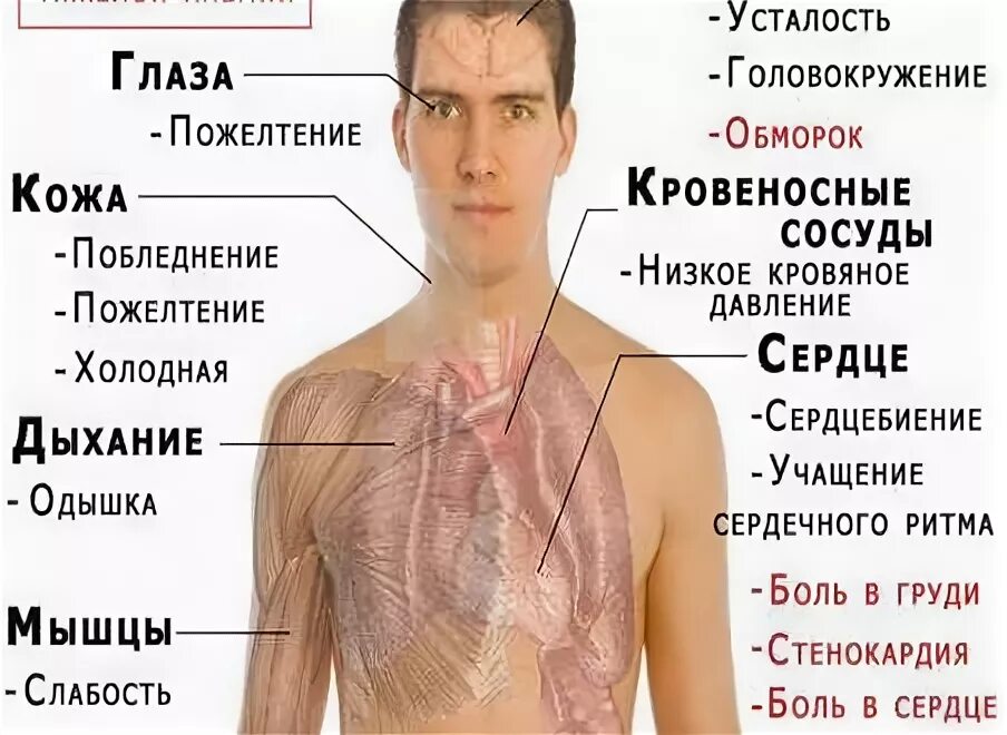 Через какое время проявляются первые симптомы вич. Спит симптомы у мужчины. Симптомы ВИЧ И СПИД У мужчин.