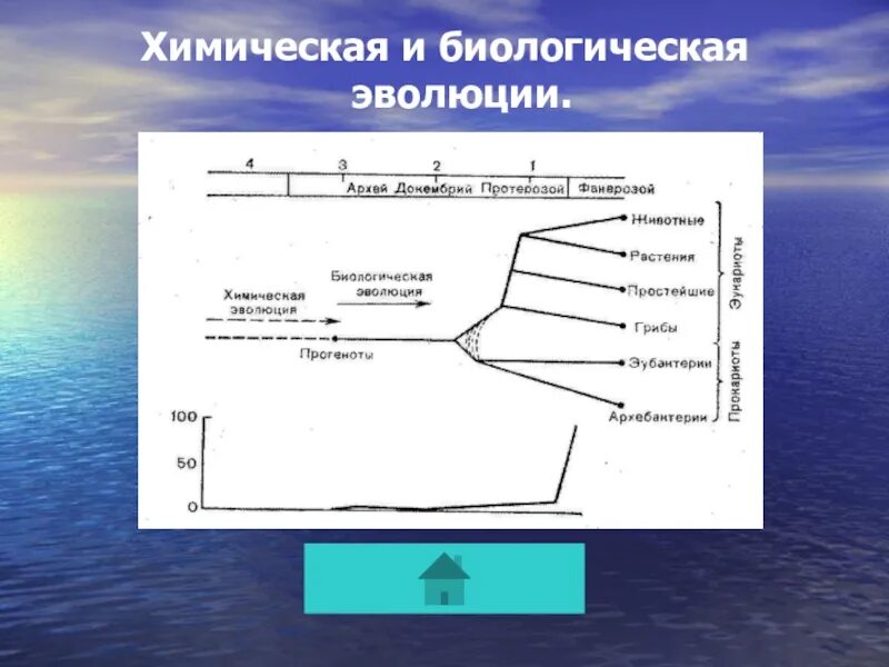 Химическая и биологическая Эволюция. Биологическая Эволюция схема. Химическая Эволюция и биологическая Эволюция. Этапы химической и биологической эволюции.