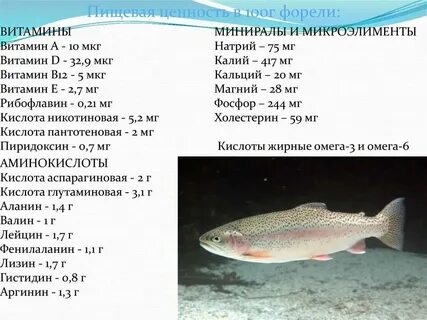 Какие витамины в форели