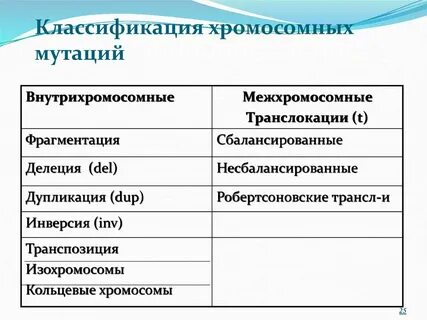 Хромосомная мутация характеристика