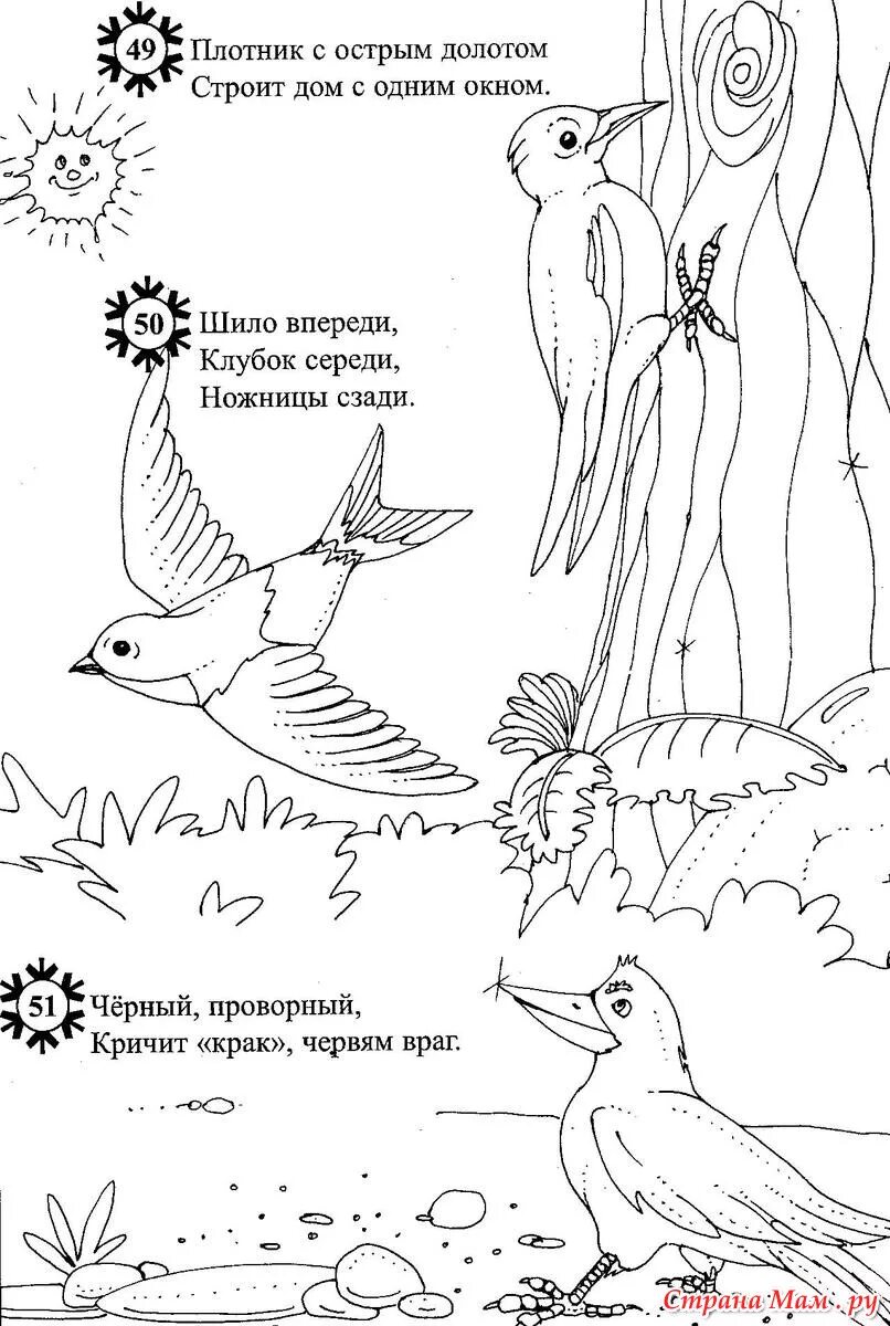 Творческие задания по стихотворению. Птицы задания для детей. Перелетные птицы задания для дошкольников. Птицы задания для дошкольников. Задания про птиц для дош.