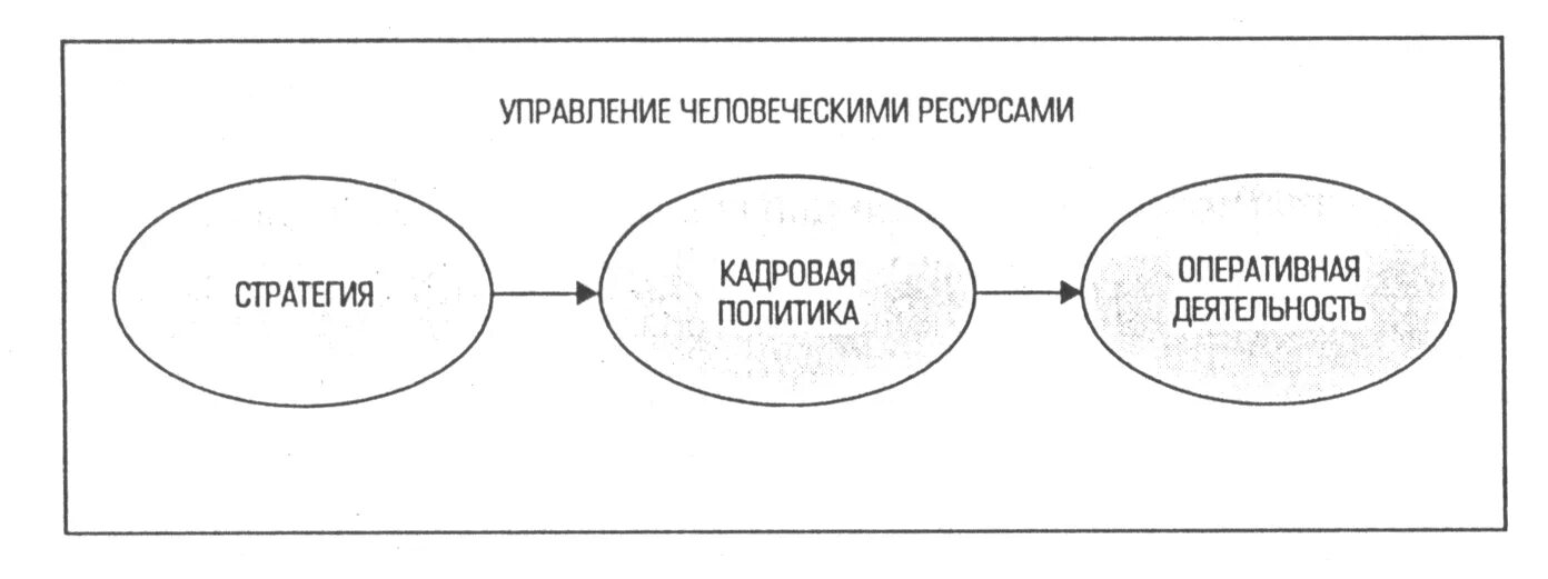 Функции управления человеческих ресурсов. Управление человеческими ресурсами. что такое «политика управления человеческими ресурсами». схема системы учр. управление человеческими ресурсами рисунок.