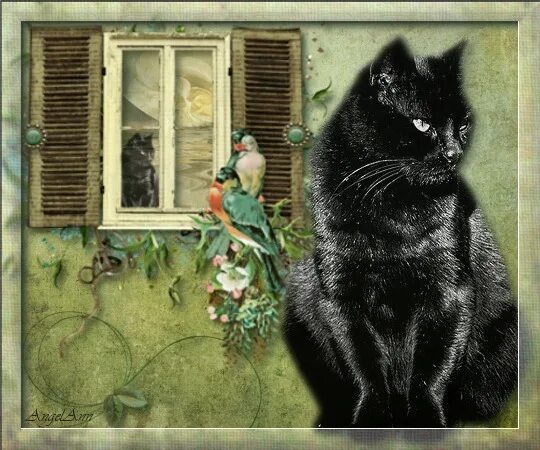 витражи арцебушев. в пыльной москве старый дом. витражи сестрорецкие дачи. рядом жила ослепительно-черная кошка. люди в черном кот.