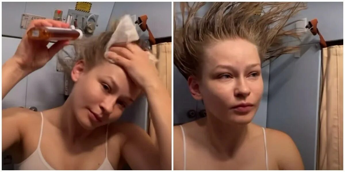 Летали ли пересильд. Летали ли пересильд