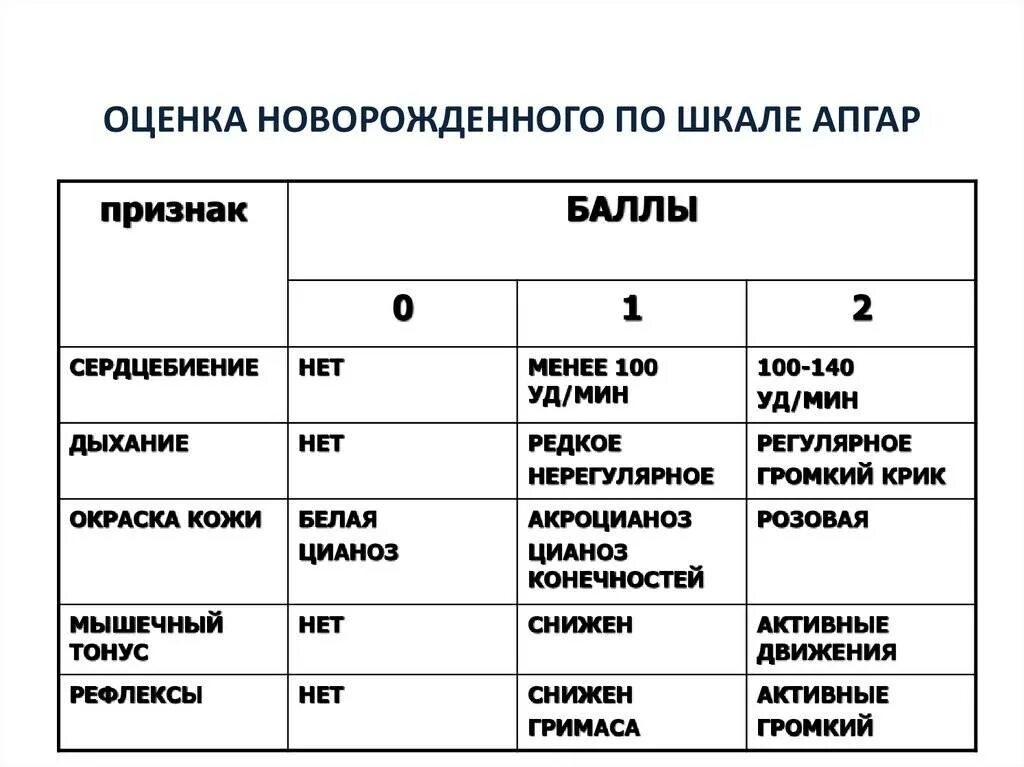 Апгар 7 7 расшифровка. Оценка состояния новорожденного по Апгар шкале Апгар. Шкала оценки новорожденных Апгар 7-8 баллов. Состояние новорожденного оценивается по шкале Апгар. Оценка новорожденных по шкале Апгар алгоритм.