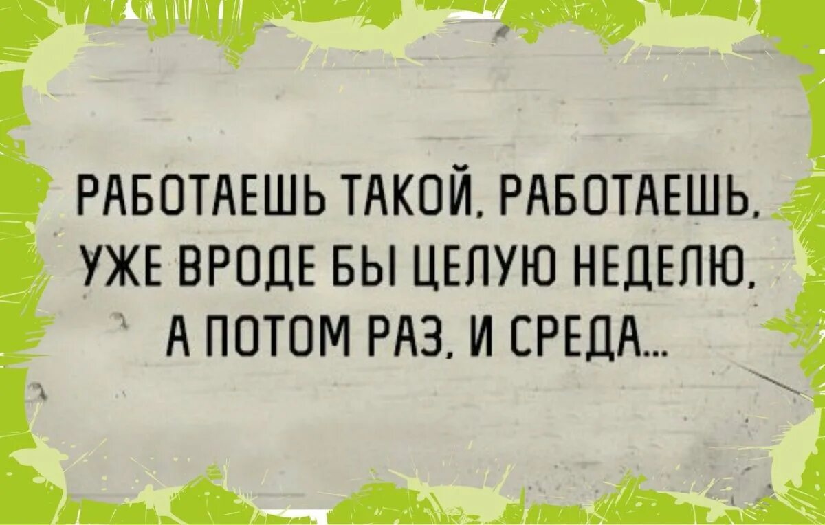 Смешные фразы про среду. Смешные высказывания про среду. Фразы про среду. Среда цитаты смешные. Смешная среда