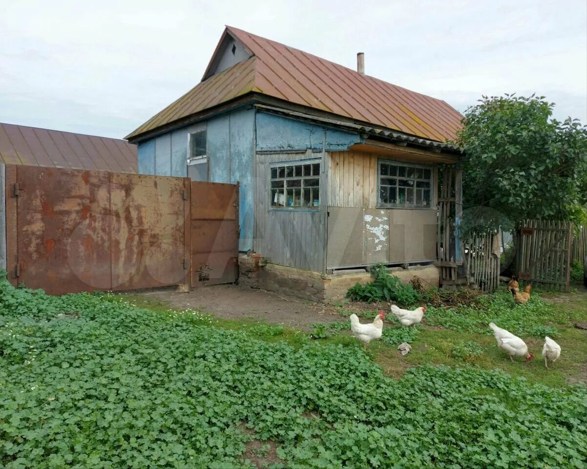 Хомутовка деревня Хомутовка. Хомутовка Курской области. Стрекалово Калужская область деревня. Село Звенячка Хомутовского района. Авито хомутовка курская область