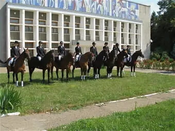 Поселок октябрьский краснодар. Посёлок Октябрьский Краснодарский край. Поселок Октябрьский Красноармейский район. Октябрьский (Красноармейский район, Краснодарский край). Посёлок Октябрьский Краснодарский край Красноармейский район.