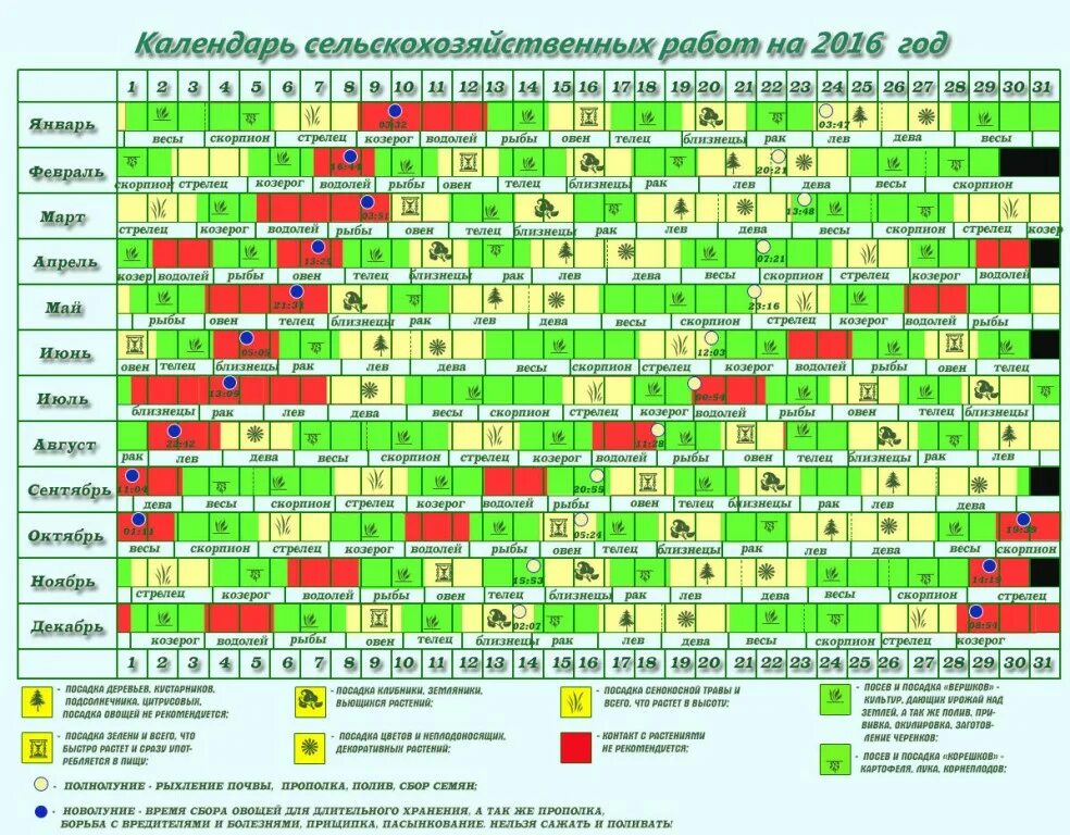 Календарь посадки растений. Календарь высадки растений. Календарь высадки рассады. График посадки растений. График посева семян на 2024 год