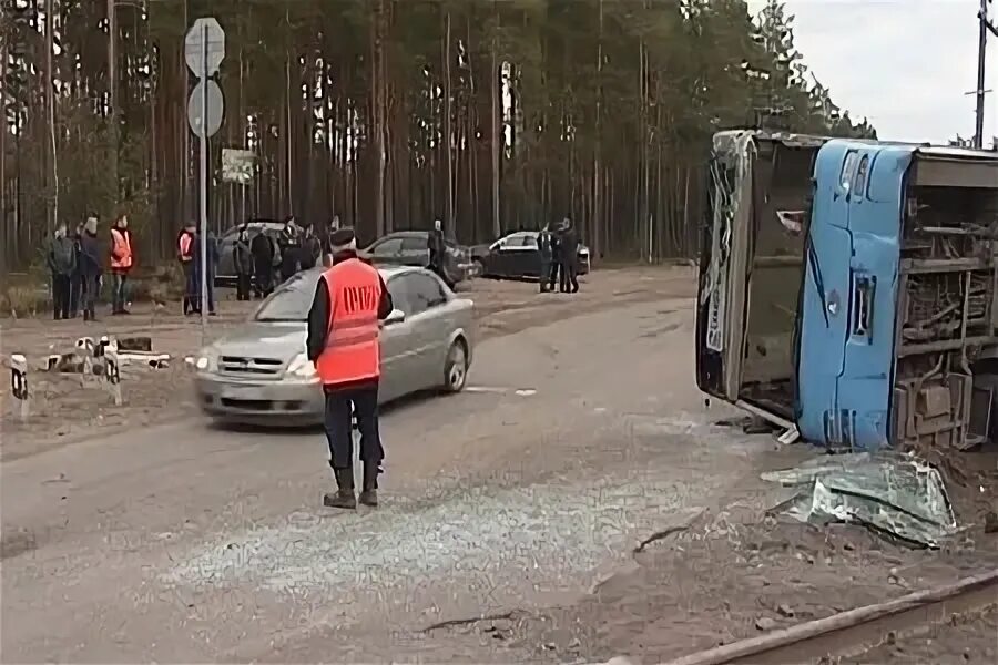 Приморск глебычево расписание 130. Глебычево дорога.