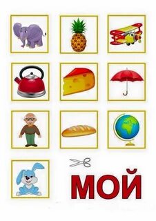 Мой моя