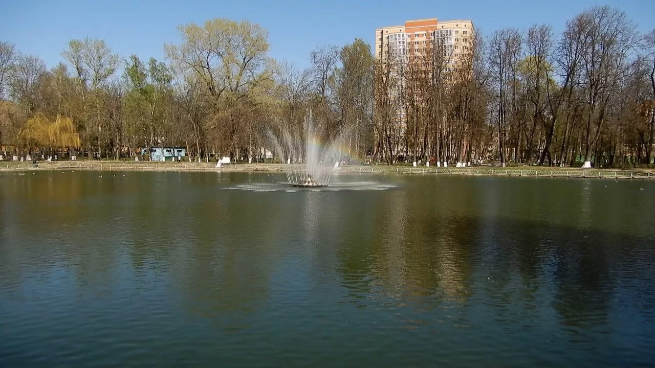 Костино телефон. Пруд Костино Королев. Парк Костино Королев. Парк Костино пруд. Город Королев парк Костино.