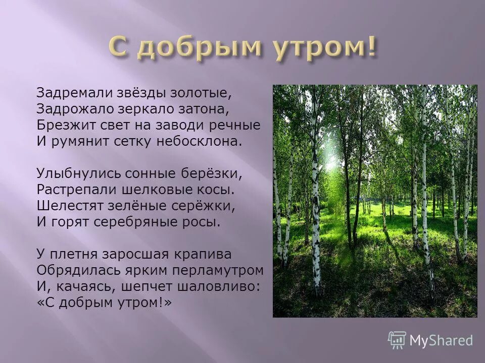 (С.Есенин) задремали звёзды золотые, задрожало зеркало. Задремали звезды золотые задрожало зеркало Затона. Задремлят звезды золотые. Есенин задремали звезды золотые. Румянит сетку небосклона