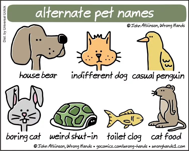 Funny pet names. Кац и собаки. Шутки про Каца и собак.