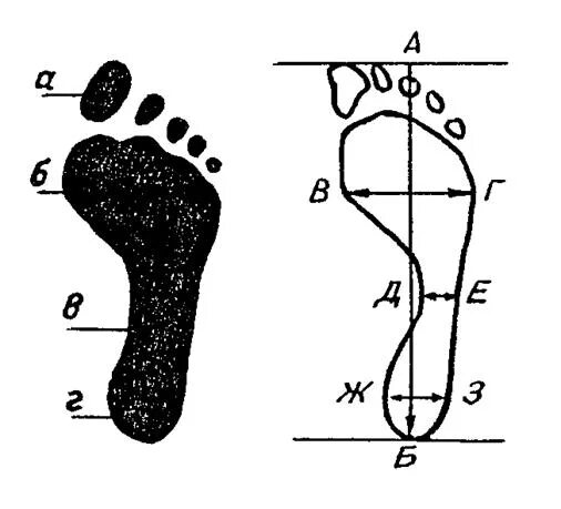 Части следа босой ноги криминалистика. Измерение следа обуви криминалистика. Отпечаток следа ноги криминалистика. След подошвенной части обуви схема.