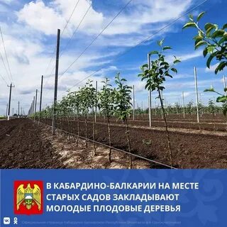 Огородники краснодарского края