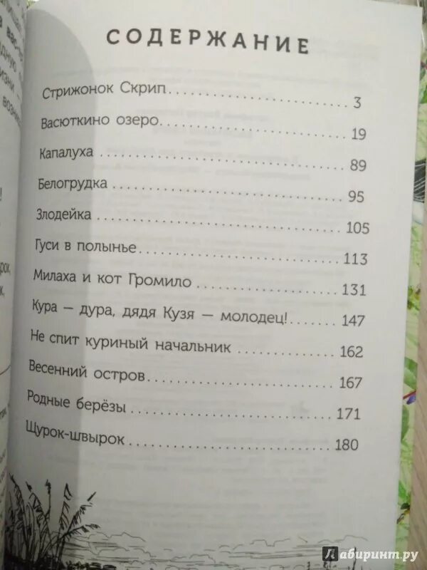 Весенний остров астафьев читательский дневник. Страна оз сколько страниц в книге. Книга Астафьева Васюткино озеро. Астафьев Васюткино озеро сколько страниц. Астафьев Васюткино озеро сколько страниц в книге.