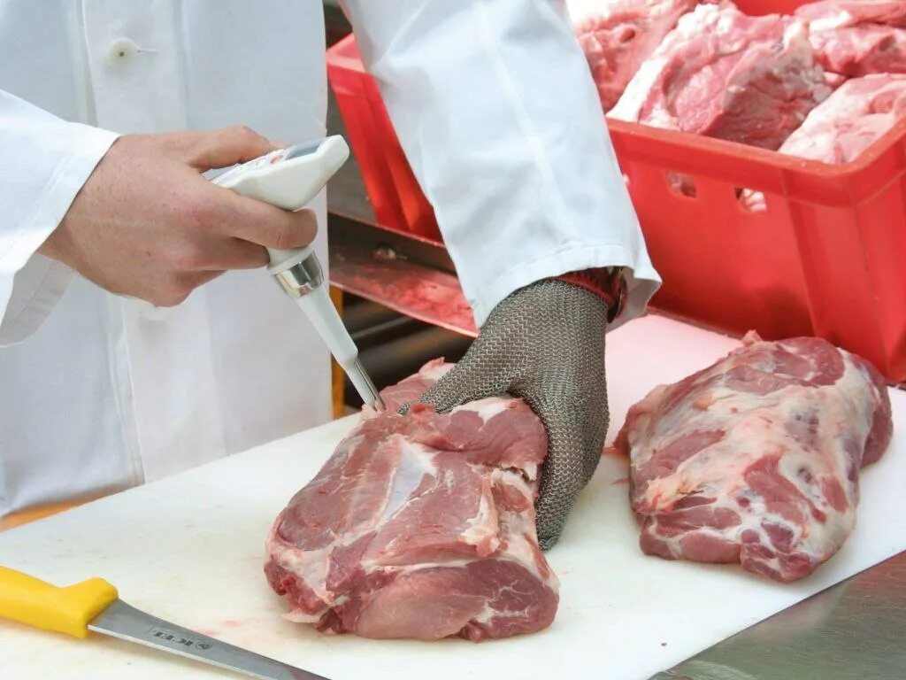 Контроль качество мяса