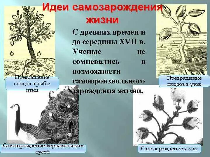 Гипотеза живое из неживого. Гипотеза самозарождения жизни. Гипотеза самопроизвольного зарождения. Гипотеза самозарождения жизни на земле. Концепция самозарождения.