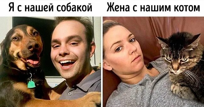 Пушистое счастье: ярославцы больше любят кошек, чем собак - МК Ярославль