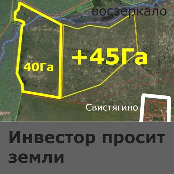 Площадь 40 гектаров