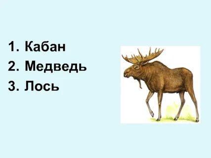 Схема к слову лось