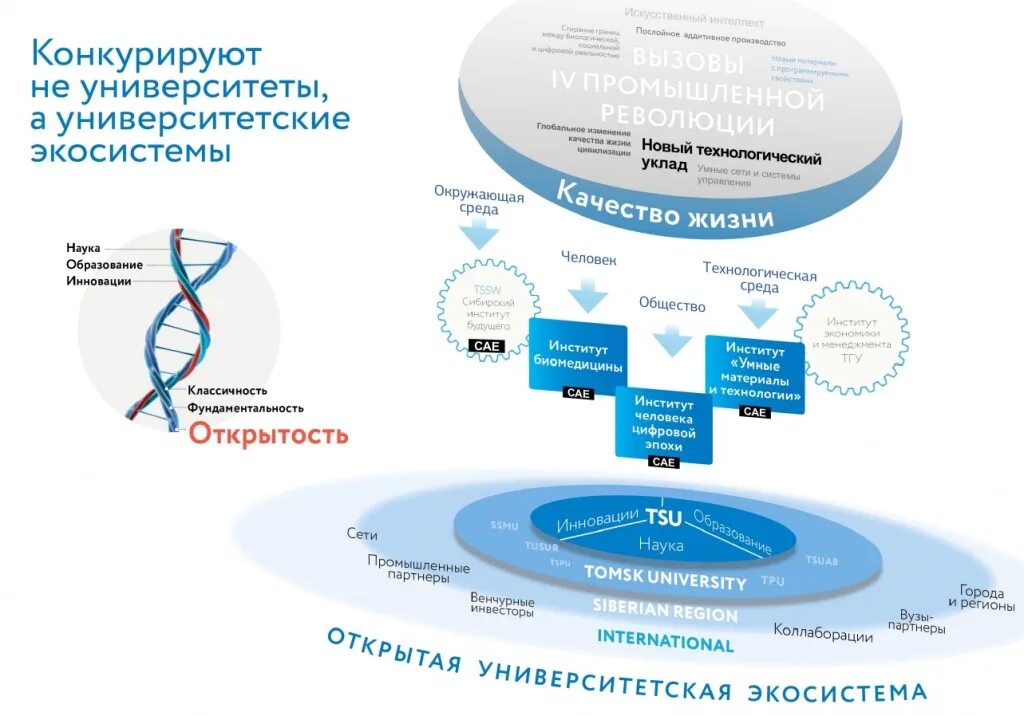 Цифровая экосистема тесты