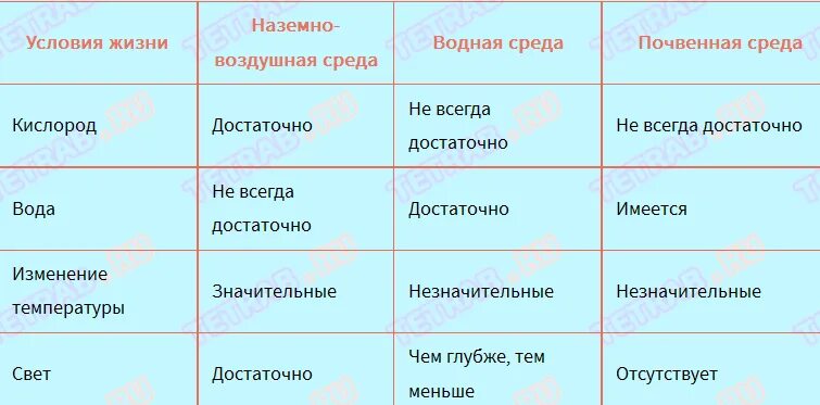 Биология 5 кл таблица среда обитания организмов таблица. Среды обитания организмов таблица биология. Биология 5 кл среда обитания таблица. Среда обитания биология 5 таблица.