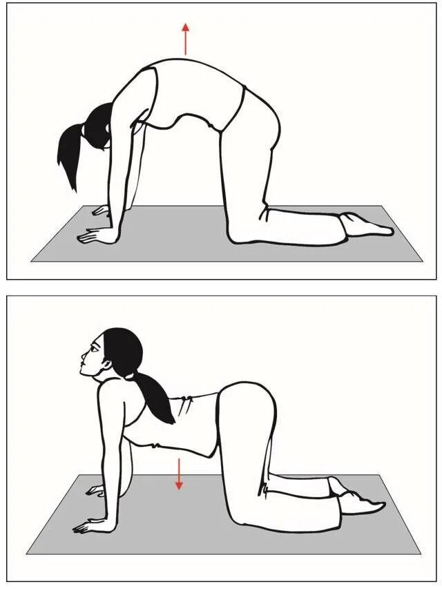 Упражнения для растягивания мышц спины и позвоночника. Упражнения для растяжки мышц спины и позвоночника. Упражнения для растяжки спины и поясницы. Упражнение кошечка. Зажим в пояснице