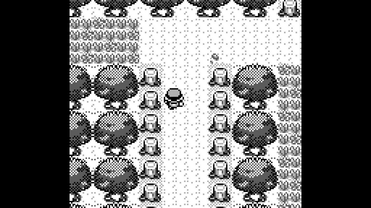 Viridian Forest. Pokemon Red Fire Fruit Forest.