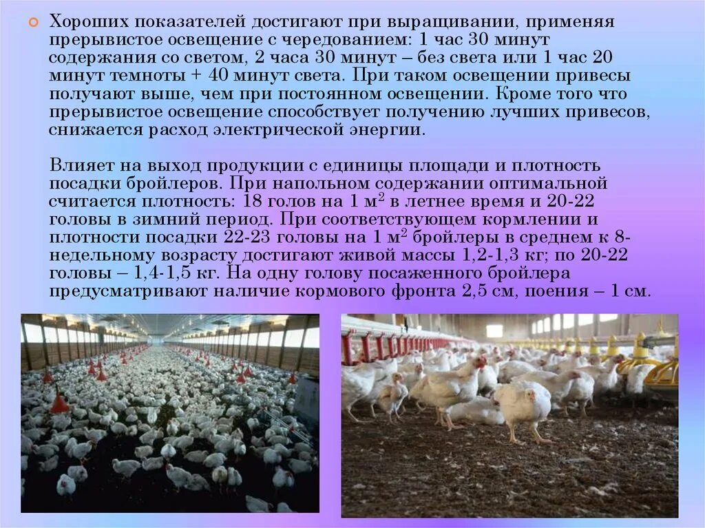 Контроль санитарного и зоогигиенического состояния объектов животноводства