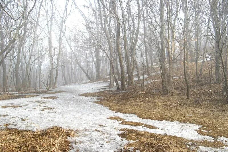 Тающий снег. Тает снег бегут ручьи. Весенний пейзаж. Дороги весной. Снег тает очень быстро в виде полос.