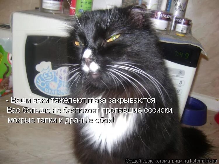 не закрывайте ваших глаз. хочется закрыть глаза цитаты. закрой глаза что ты видишь. цитаты про красивые глаза. цитаты про глаза.