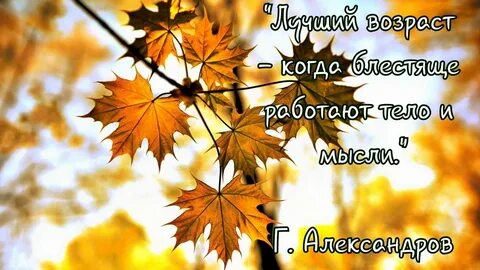 Желтый листик с ветки клена