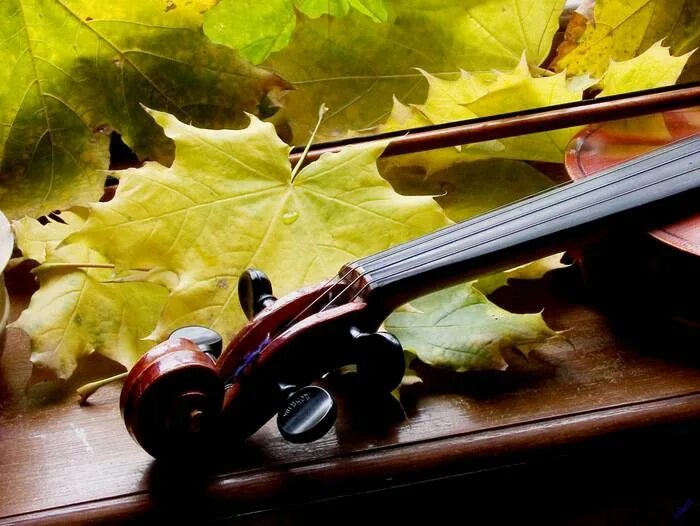 Скрипка осени. Скрипка осень. Пианино и осенние листья. Скрипка осенние листья. Музыкальные инструменты осень.