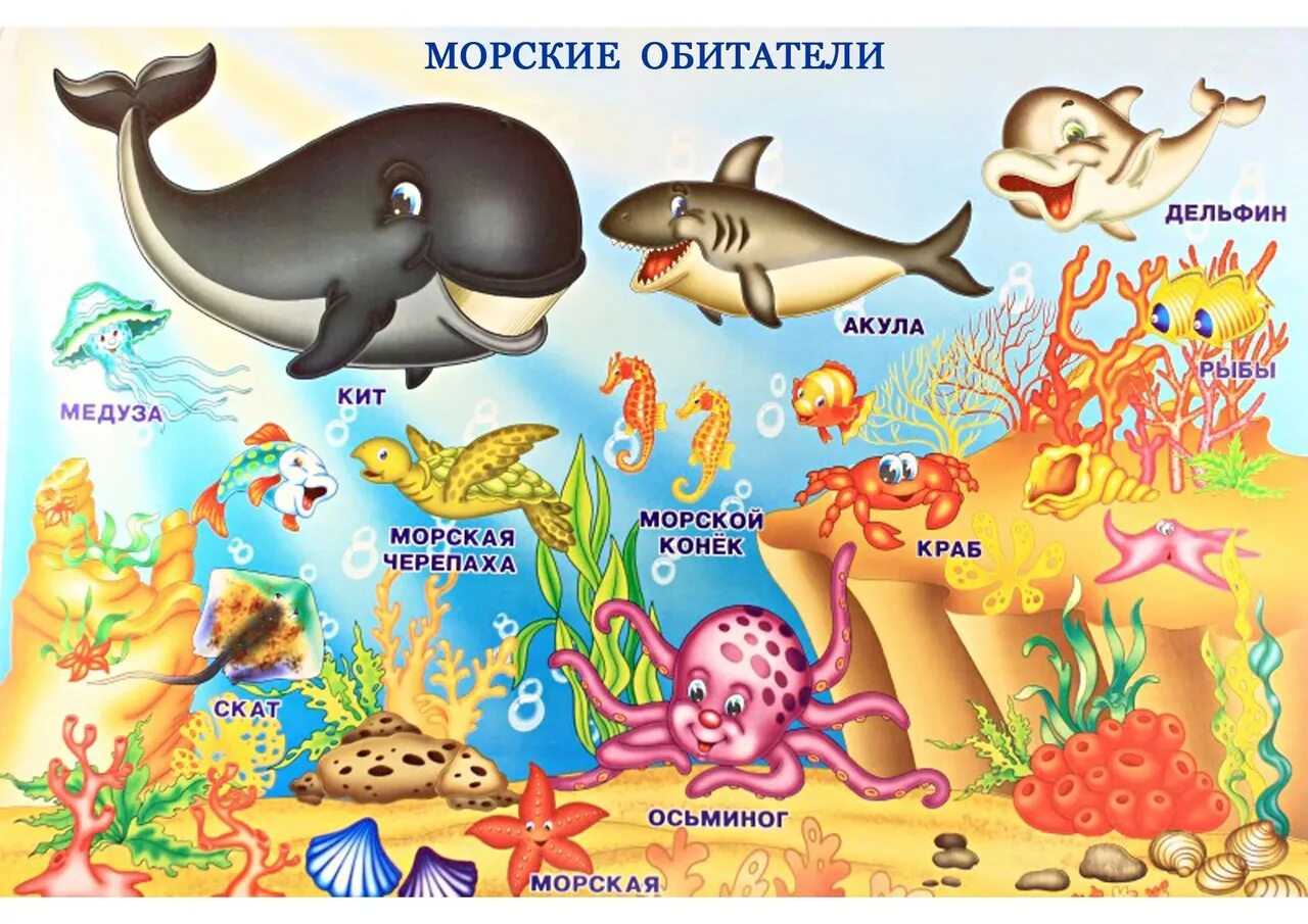 Живой мир морей и океанов подготовительная. Морские обитатели для детей. Животные морей и океанов для детей. Обитатели моря для детей. Плакат морские обитатели для детей.