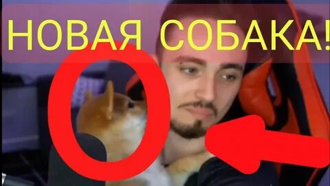 Новый эду