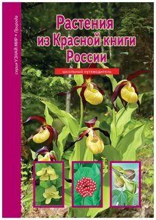 4 растения из красной книги
