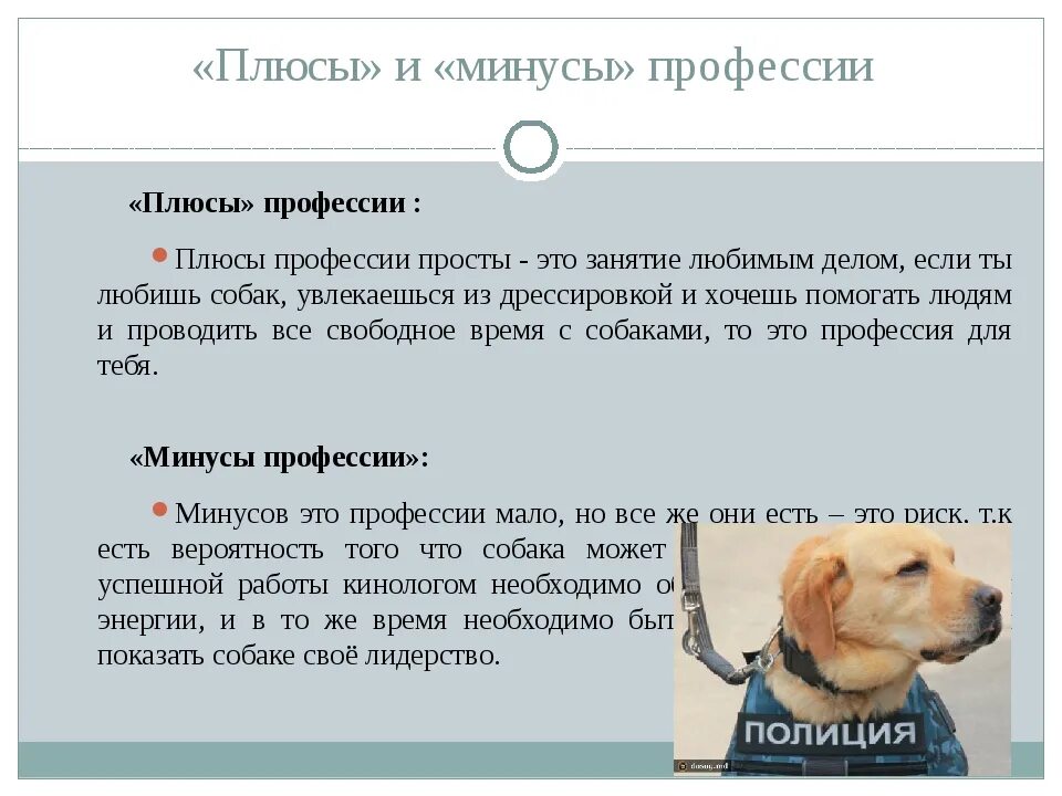 Плюсы кинолога. Кинолог плюсы и минусы профессии. Профессии собак. Минусы профессии кинолог.