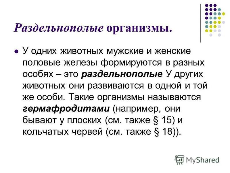 Обоеполые и раздельнополые организмы. Раздельнополые это в биологии. Раздельнополые животные. Раздельнополые организмы примеры. Раздельнополые виды.