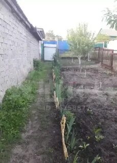 Село криница воронежская область