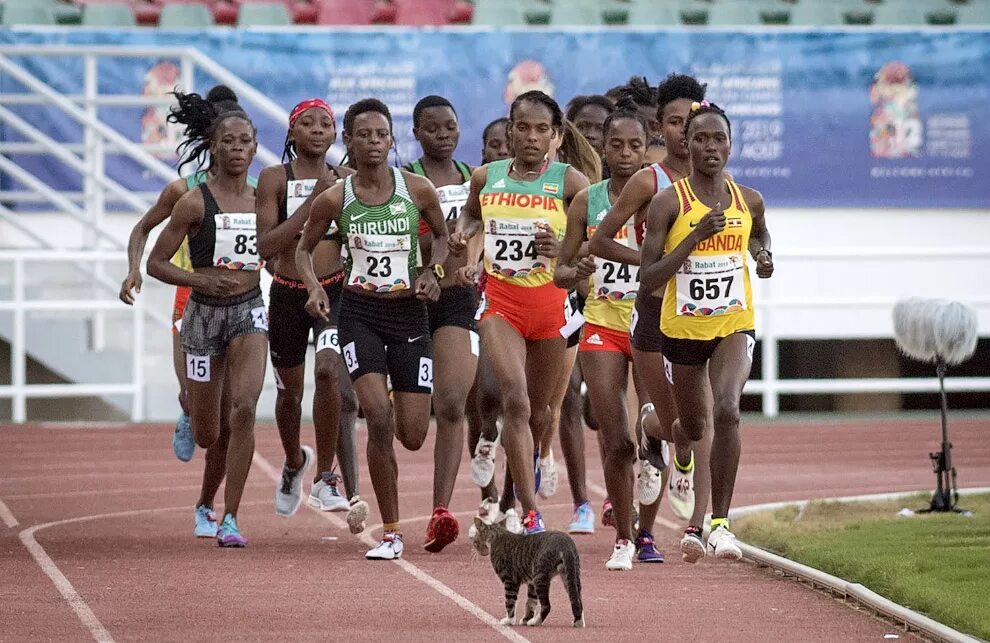 Бегун на 5 километров. Бег на 5000 метров. Бегуны на 5000 м. Африканские бегуны женщины. Бег на 5000 метров фото.