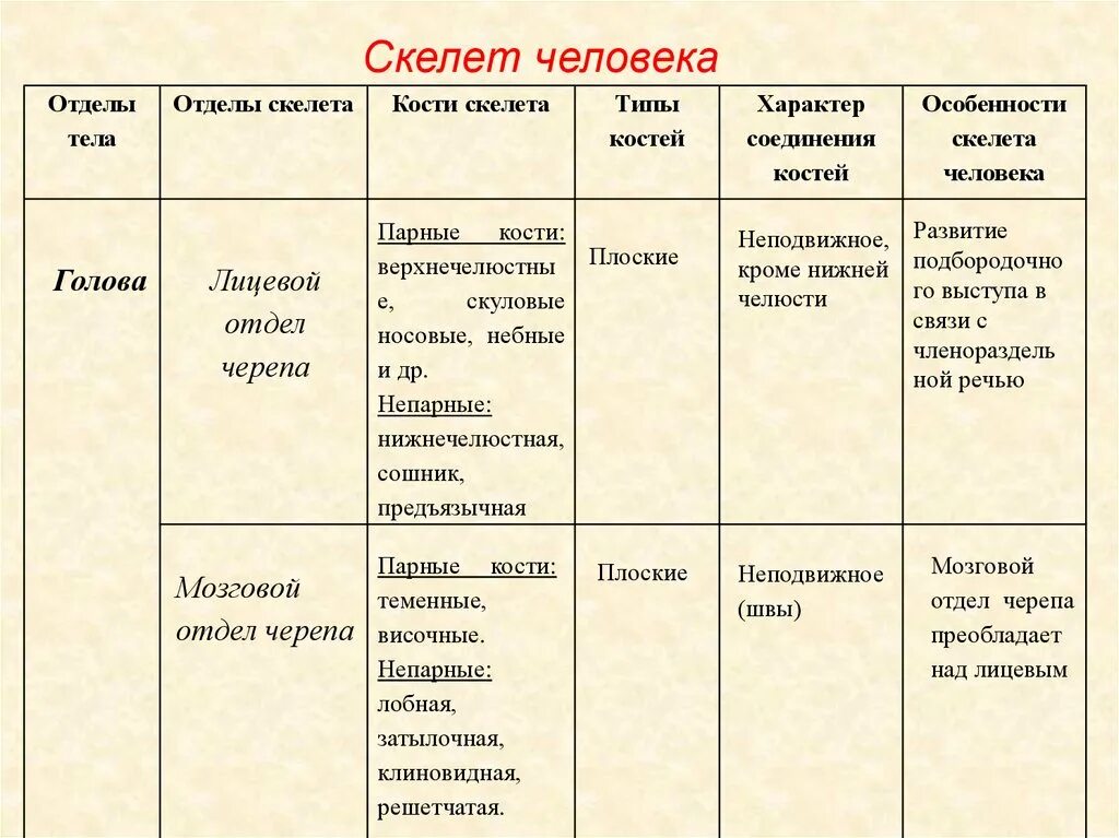 Головной отдел скелета. Таблица отделы тела отделы скелета. Отделы скелета человека 8 класс биология. Функции скелета скелет головы череп отделы скелета таблица. Отделы тела отделы скелета таблица конечности.