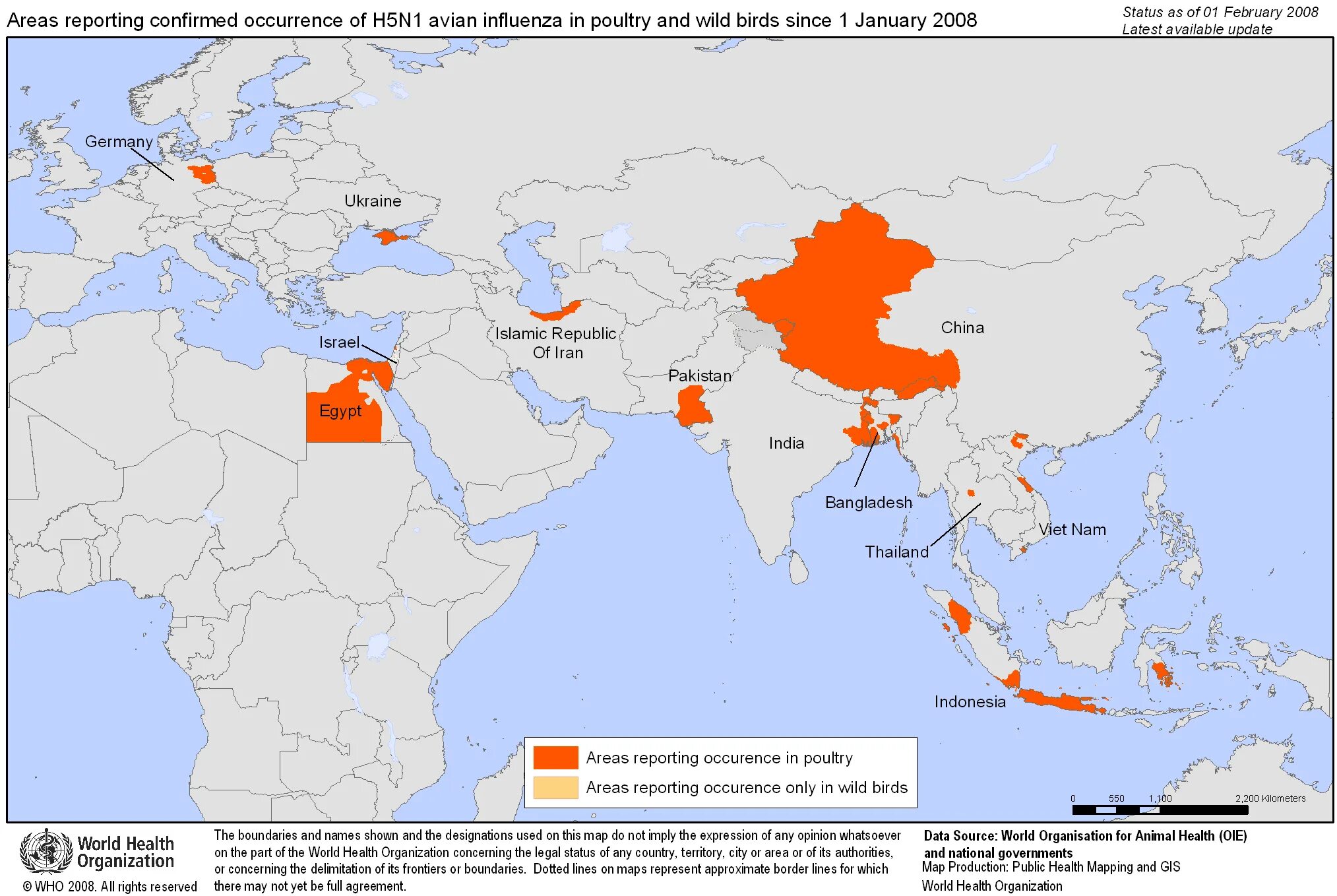 грипп h5n1. ортомиксовирусы микробиология. птичий грипп h1n1. Avian h5n1. вирус гриппа h5n1.