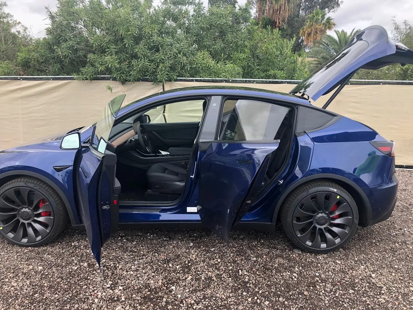 Тесла model y. Кроссовер Tesla model y. Tesla model y Performance. Тесла модель Игрек.