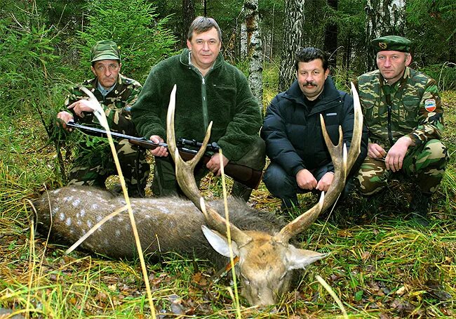 Владимирская охотинспекция сайт. Машина охотоведов. Федеральный государственный охотничий надзор. Ооо "суздальская охота". Подслушано владимирских охотников.