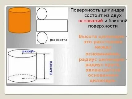 Центральный цилиндр состоит из. Центральный цилиндр состоит из