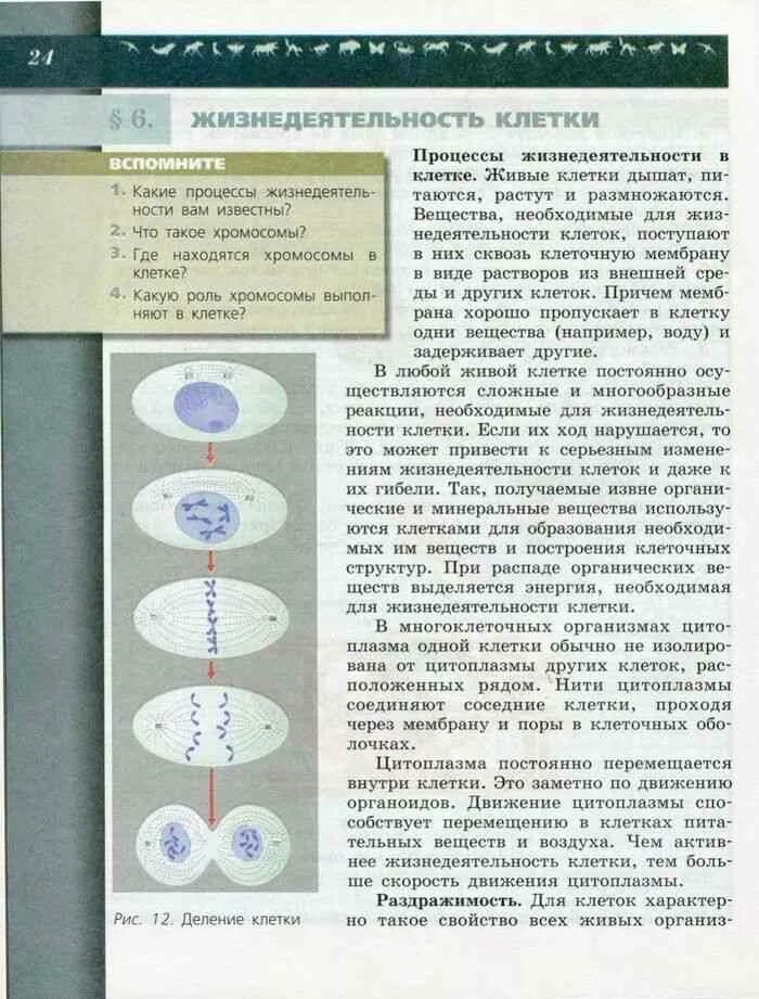 16 параграф пасечник биология 6 класс учебник. Биология 6 класс учебник Пасечник Суматохин. Биология. 6 Класс. Учебник. Электронный учебник биология 6 класс Пасечник. Учебник по биологии 6 класс читать.